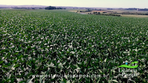 INICIO 3.00_00_51_12.Quadro009_dc2f8f00aad3d5fbffe318d361f903e928122980.jpg